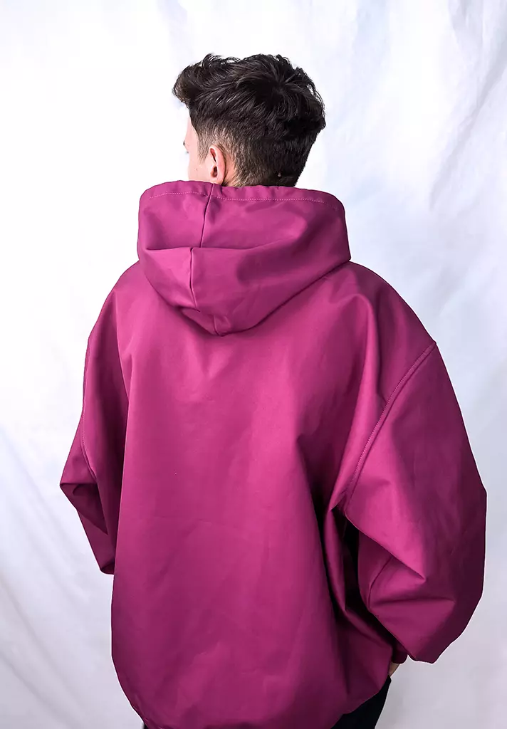 Hanorac Vision - imagine 2